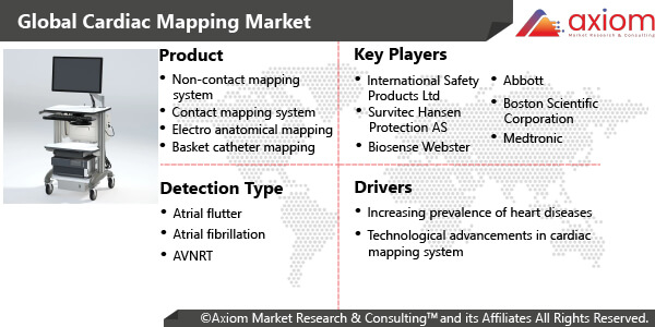 11351-global-cardiac-mapping-market-report