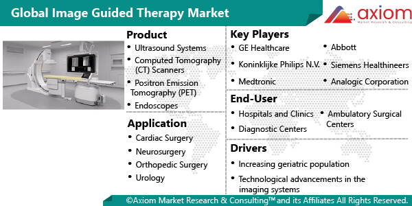 11344-global-image-guided-therapy-market-report