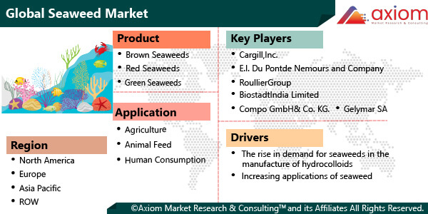 800-seaweed-market-research-report