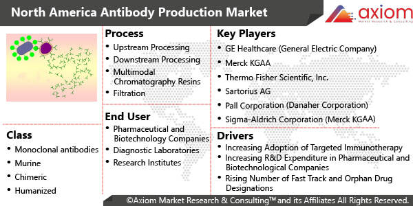 10984-north-america-antibody-production-market-report