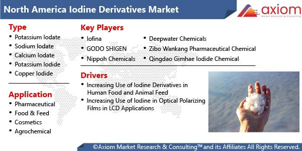 11248-north-america-iodine-derivatives-market-report