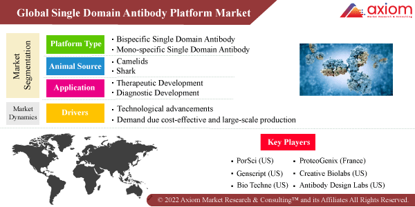 11329-single-domain-antibody-platform-market-report